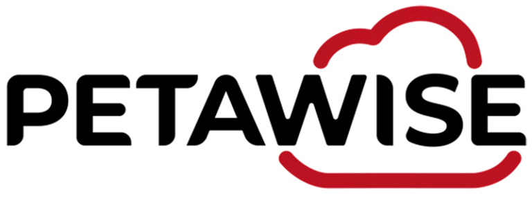 Petawise Cloud Logo