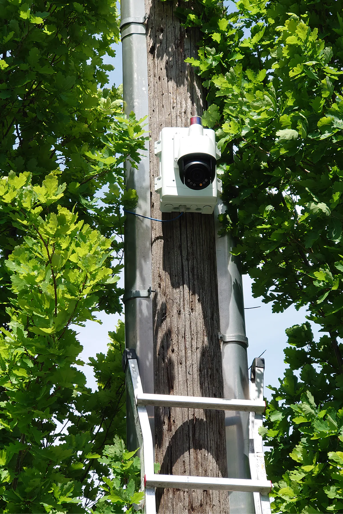 Uniview Camera 2MP Active Deterrence PTZ Installed Outdoors on Tree Pole with JB12