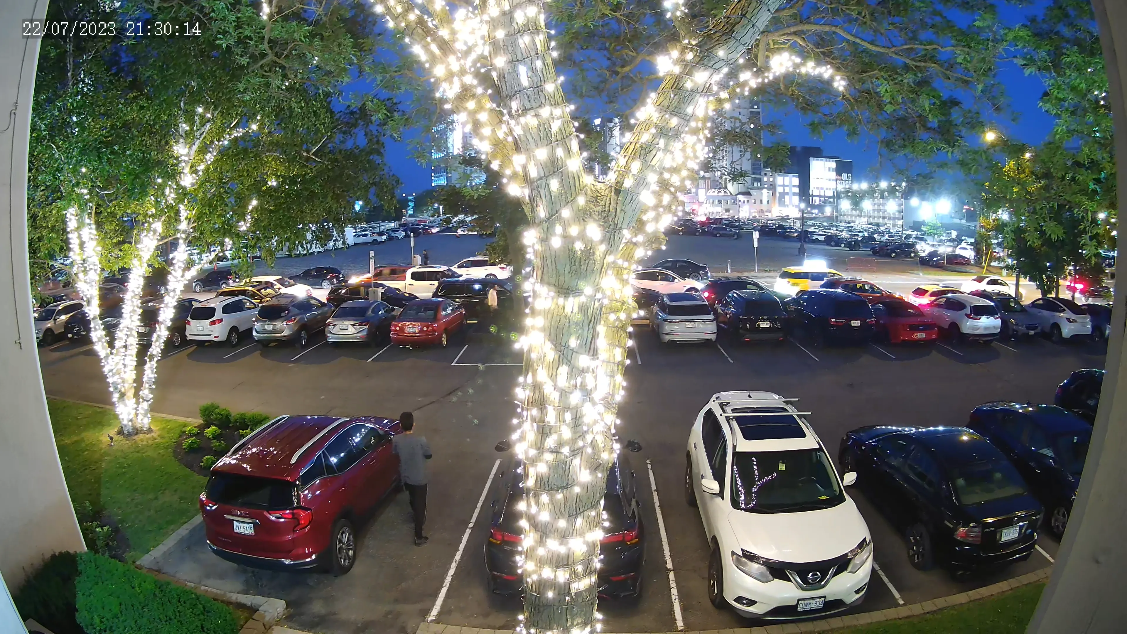 A tree with Christmas lights wrapped around it, in a parking lot full of cars at night