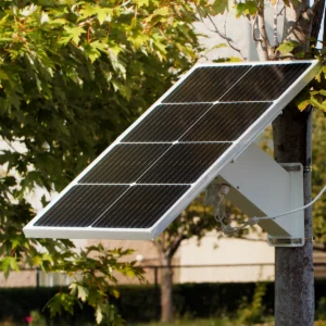 A solar panel mounted to a tree using metal ring clamps, with green leaves in the background